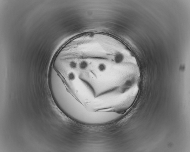 X0000091300940200709071050