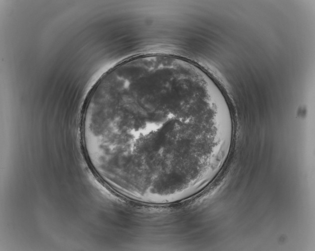 X0000091300941200709071050