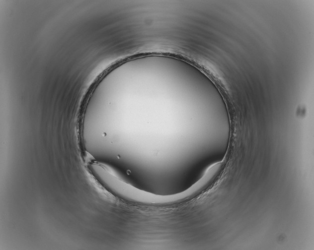 X0000091300942200709071050