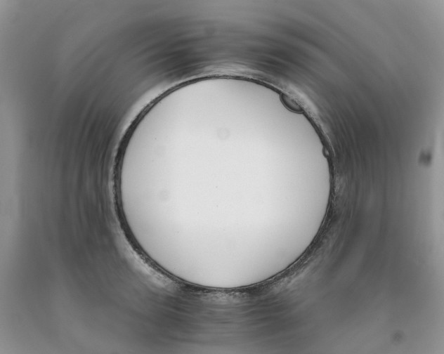 X0000091300947200709071050