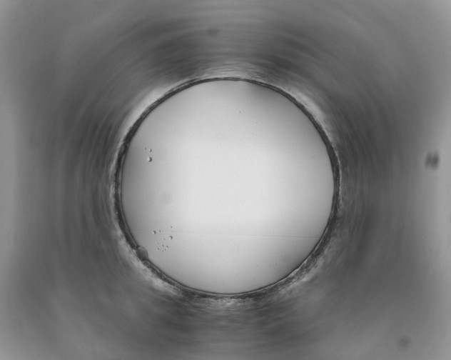 X0000091300949200709071050