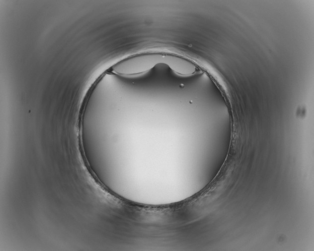 X0000091300951200709071050