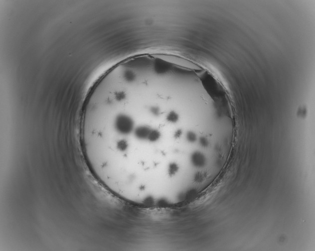 X0000091300952200709071050