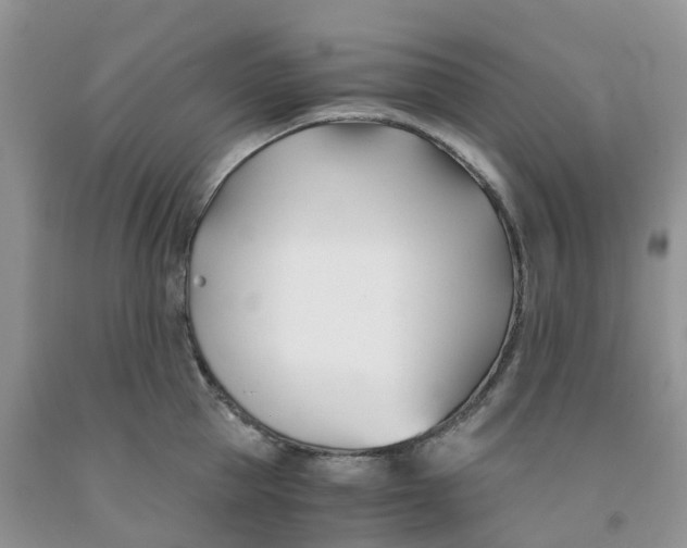 X0000091300953200709071050