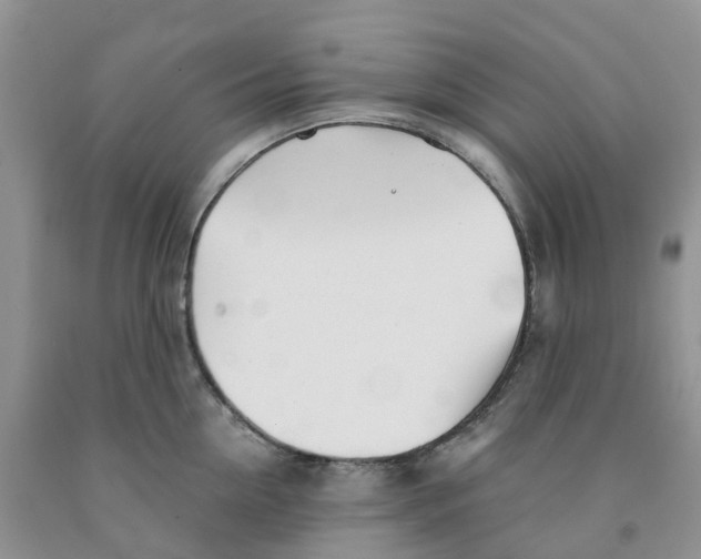 X0000091300954200709071050