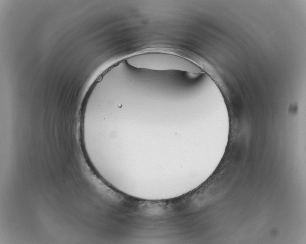 X0000091300955200709071050