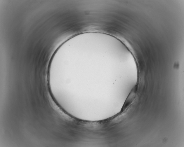 X0000091300957200709071050