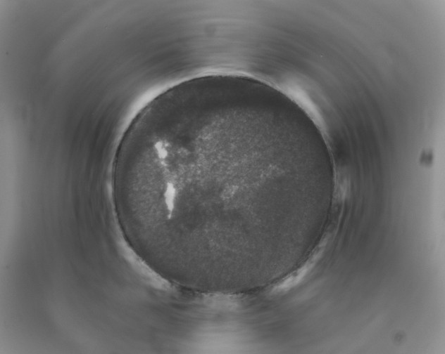 X0000091300958200709071050