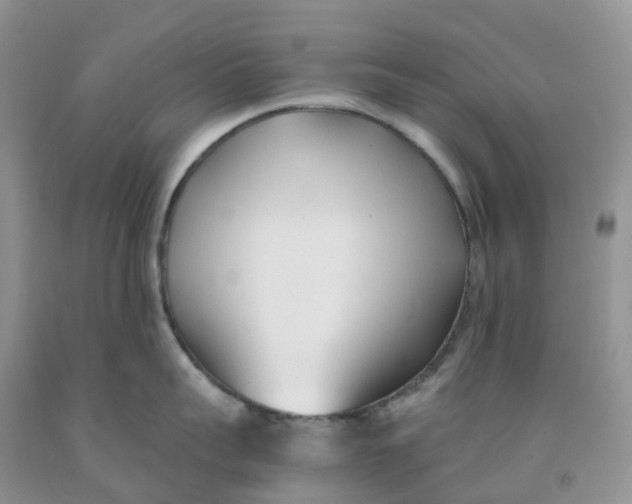 X0000091300959200709071050