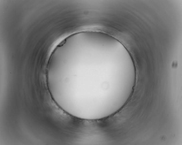 X0000091300960200709071050