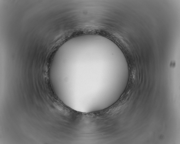 X0000091300964200709071050