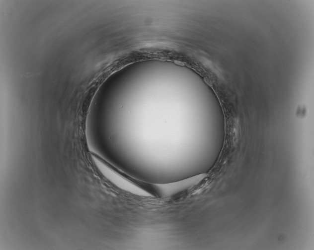 X0000091300965200709071050