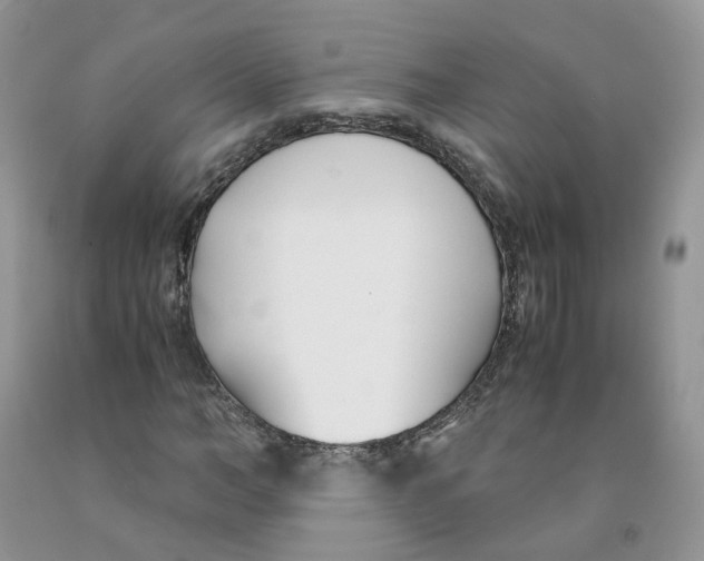 X0000091300966200709071050