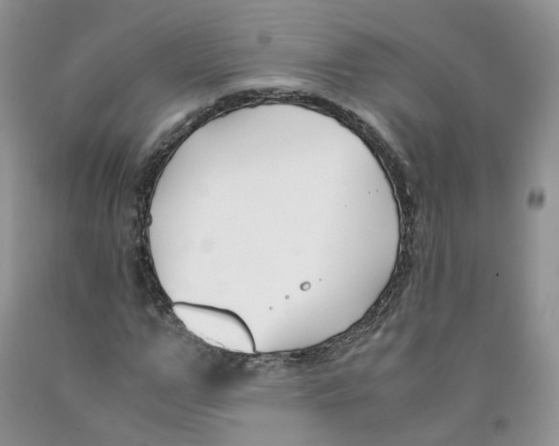 X0000091300967200709071050