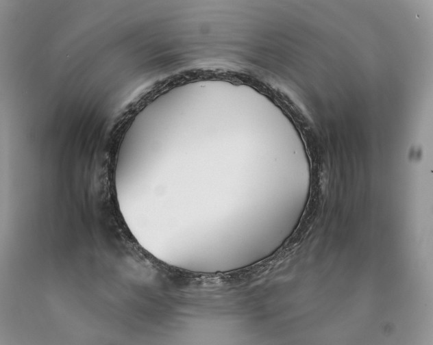 X0000091300968200709071050