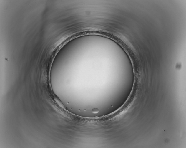 X0000091300969200709071050