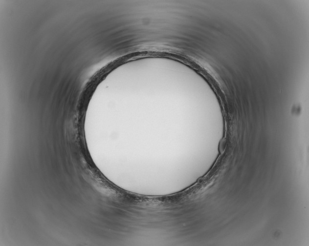 X0000091300971200709071050