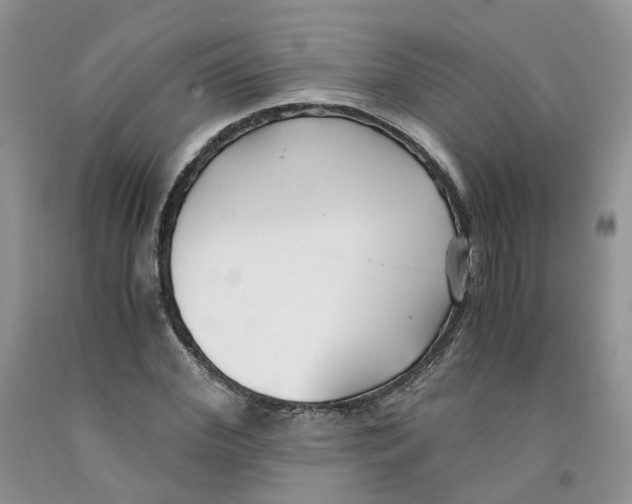 X0000091300972200709071049