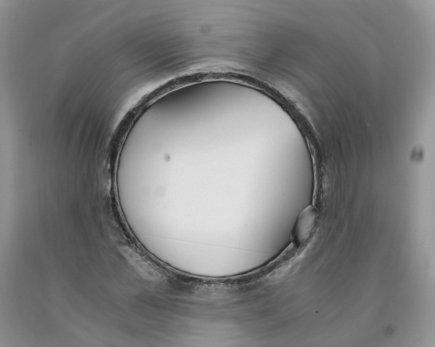 X0000091300973200709071049