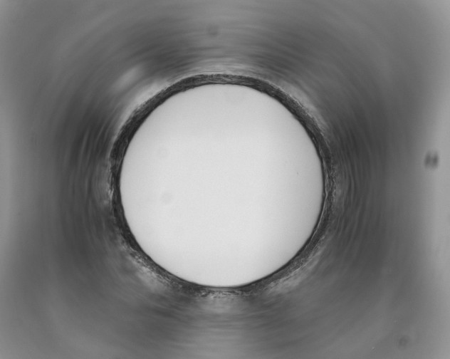 X0000091300974200709071049