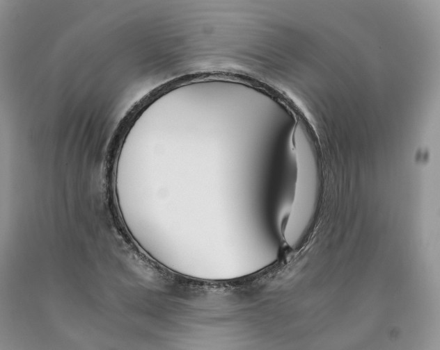 X0000091300975200709071049