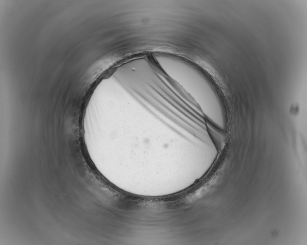 X0000091300977200709071049