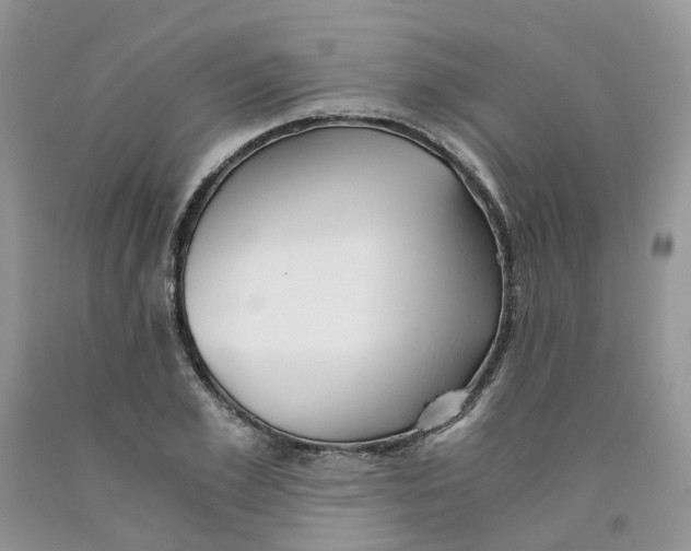 X0000091300981200709071049