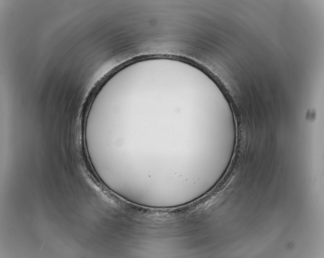 X0000091300982200709071049