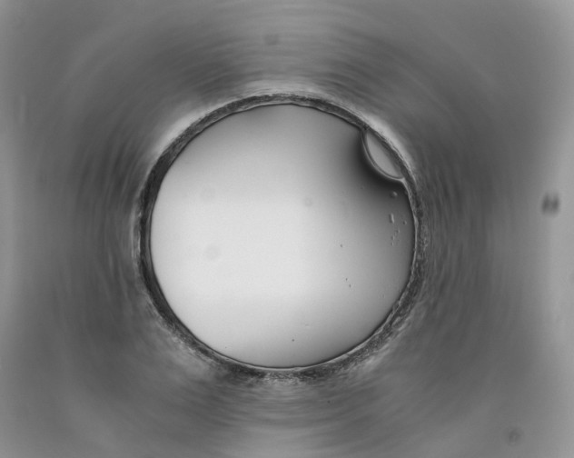 X0000091300983200709071049