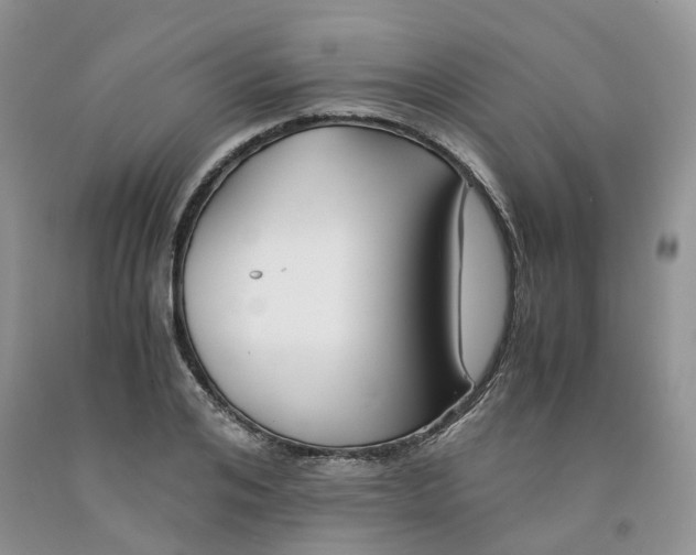 X0000091300984200709071049