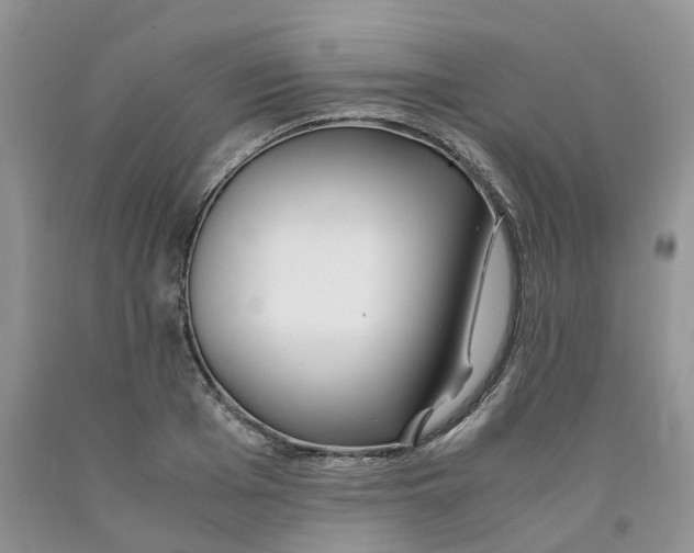 X0000091300985200709071049