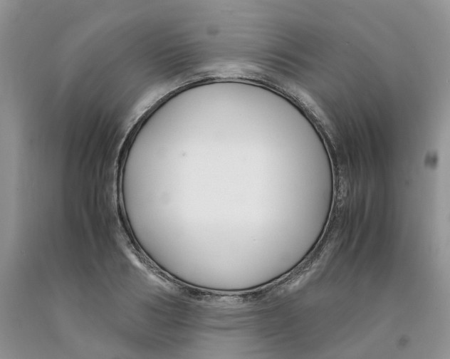 X0000091300986200709071049