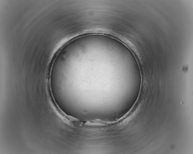 X0000091300989200709071049