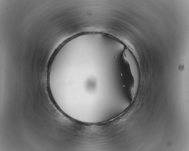 X0000091300992200709071049