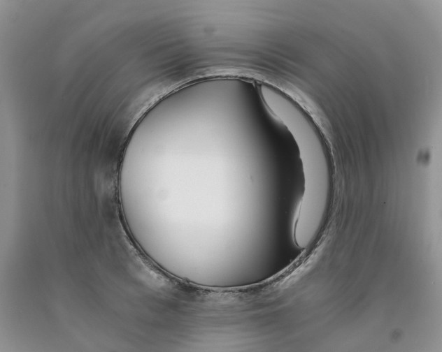 X0000091300993200709071049