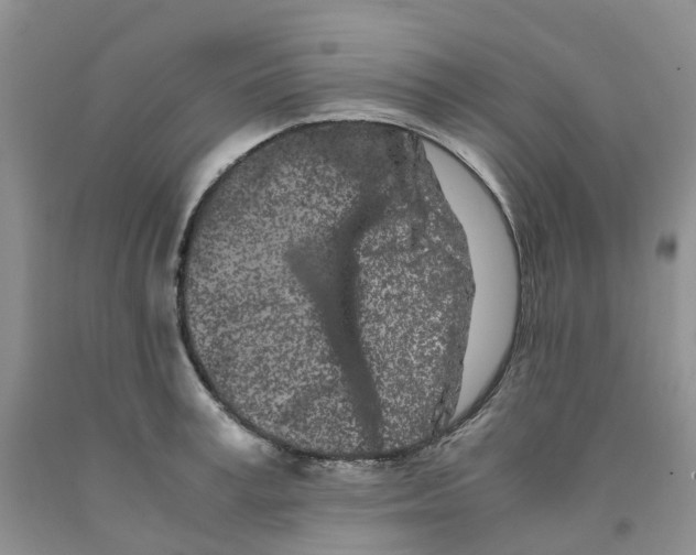 X0000091300995200709071049