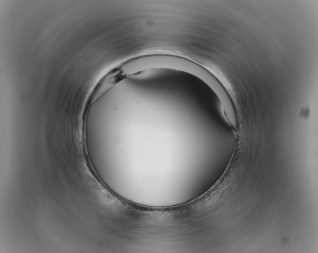 X0000091300996200709071049