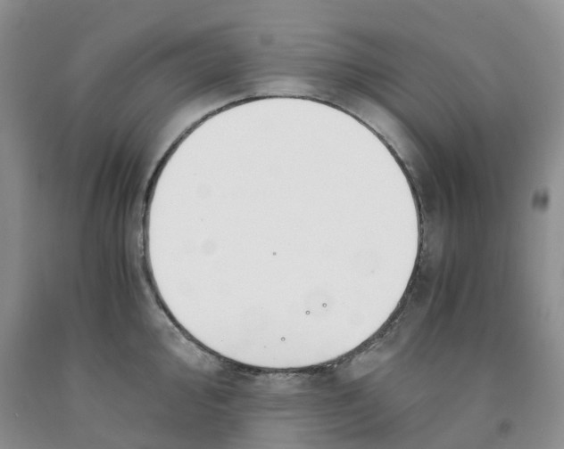 X0000091301000200709071049