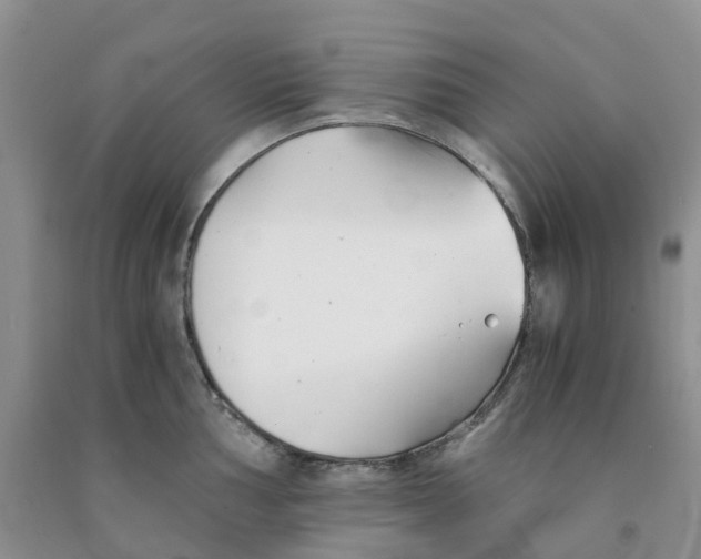 X0000091301002200709071049