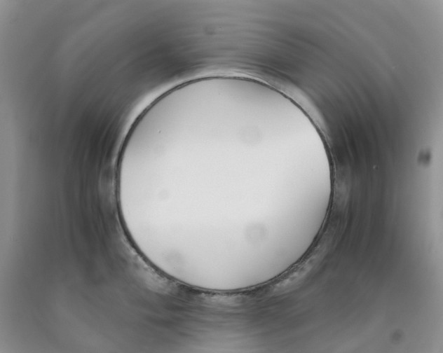 X0000091301004200709071049