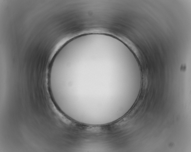 X0000091301006200709071049