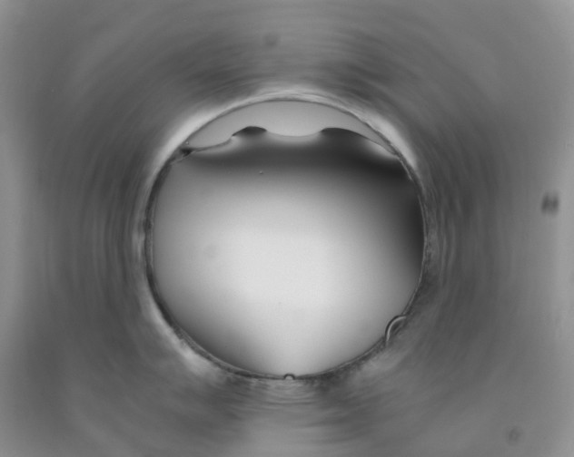 X0000091301007200709071049