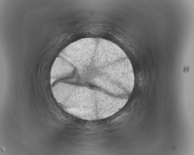 X0000091301009200709071048