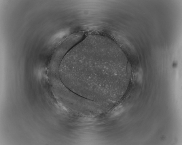 X0000091301010200709071048