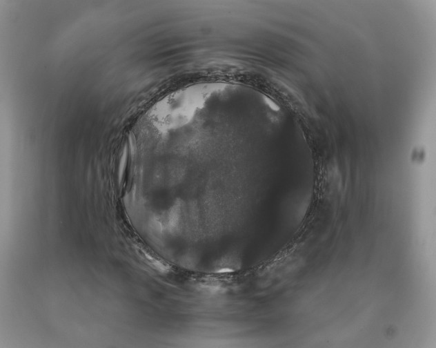 X0000091301013200709071048