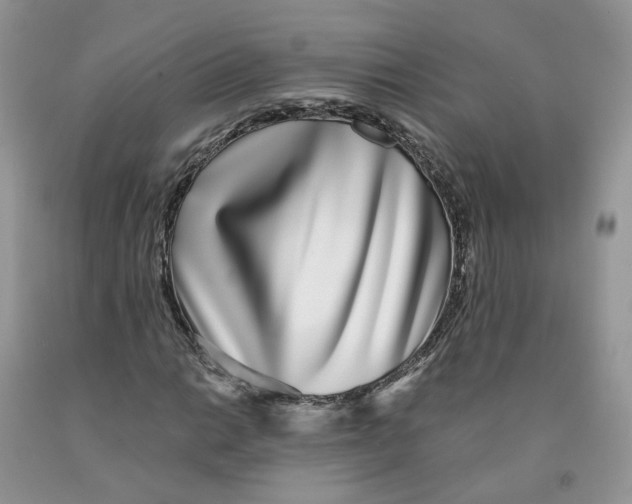 X0000091301014200709071048