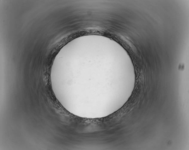 X0000091301015200709071048