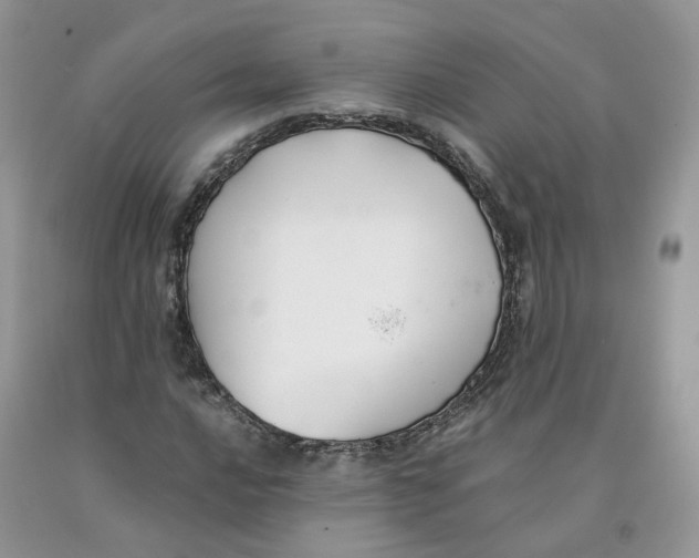 X0000091301016200709071048