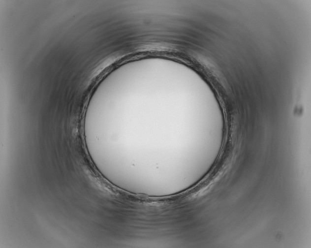 X0000091301017200709071048