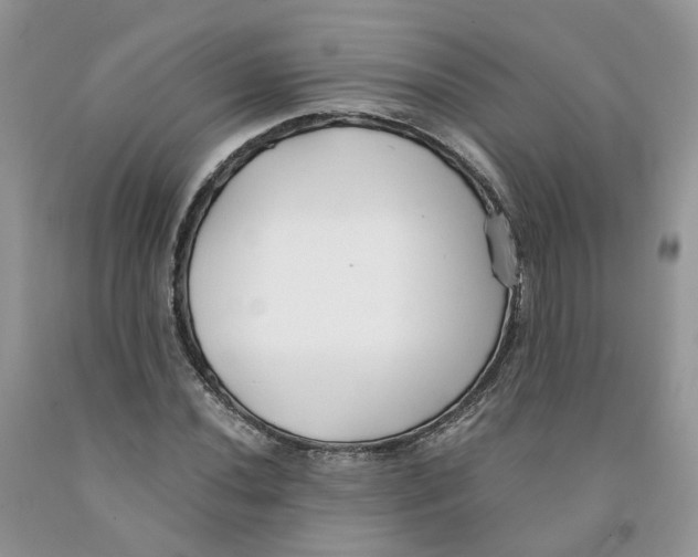 X0000091301020200709071048